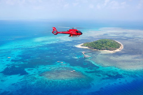Fly To Green Island - Cruise Return - Accommodation Brisbane 3
