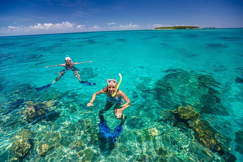 Fly To Green Island - Cruise Return - Accommodation Brisbane 4