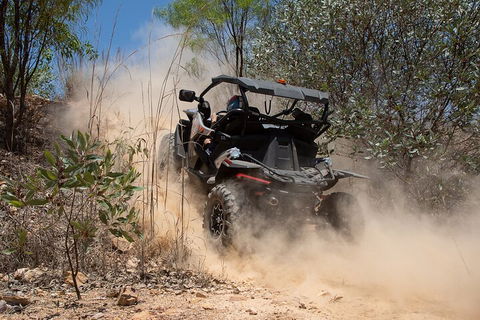 License To Thrill: 1.5 Hour Off-road Tour In Darwin (1 Person: 2 Seater Vehicle) - Accommodation Brisbane 3