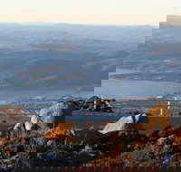 Mt. Wellington Bonorong and Richmond Day Tour from Hobart - Accommodation Brisbane