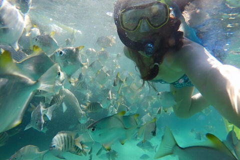 Moreton Island Snorkel And Sandboarding 4WD Day Trip From Brisbane - Accommodation Brisbane 3