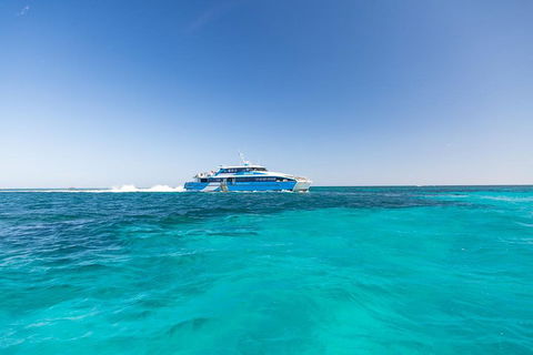 Rottnest Island Bike & Ferry Package From Fremantle - Accommodation Brisbane 0