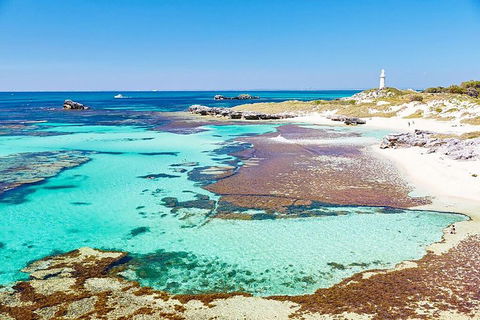 Rottnest Island Bike, Snorkel & Ferry Package From Fremantle - Accommodation Brisbane 4