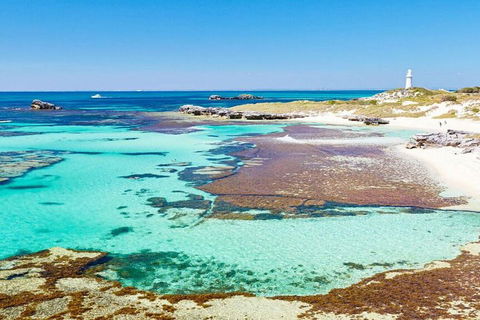 Rottnest Island Bike, Snorkel & Ferry Package From Perth - Accommodation Brisbane 5