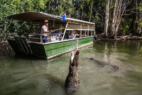 Hartley's Crocodile Adventures Day Trip From Cairns - Accommodation Brisbane 2