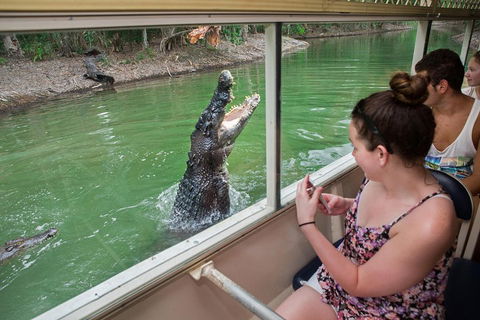 Hartley's Crocodile Adventures Day Trip From Cairns - Accommodation Brisbane 3