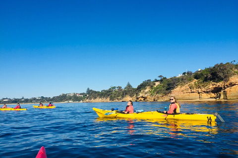 Mornington Peninsula Kayak Coastline Tour Of Dolphin Sanctuary - Accommodation Brisbane 1