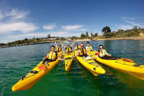 Mornington Peninsula Kayak Coastline Tour Of Dolphin Sanctuary - Accommodation Brisbane 2