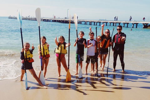 Mornington Peninsula Kayak Coastline Tour Of Dolphin Sanctuary - Accommodation Brisbane 3