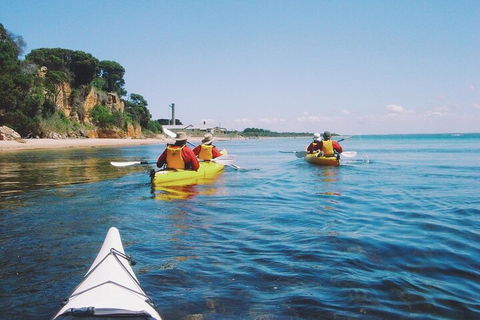 Mornington Peninsula Kayak Coastline Tour Of Dolphin Sanctuary - Accommodation Brisbane 5