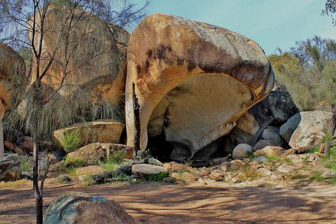 Wave Rock Half Day Air & Ground Tour - Accommodation Brisbane 1