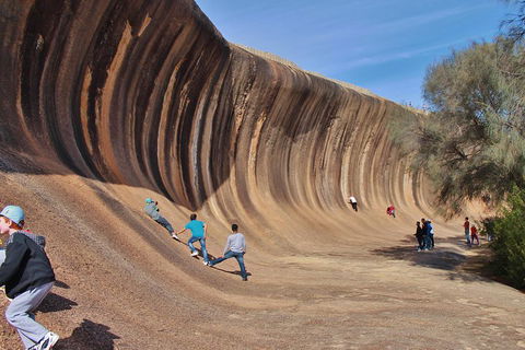 Wave Rock Half Day Air & Ground Tour - Accommodation Brisbane 2