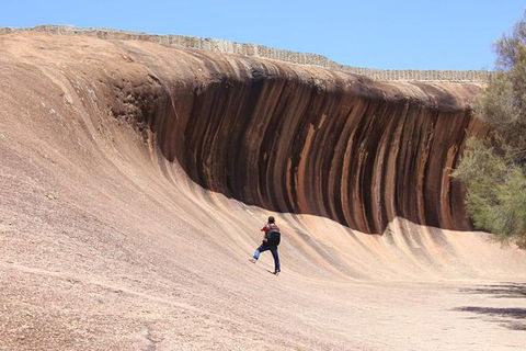 Wave Rock Half Day Air & Ground Tour - Accommodation Brisbane 3