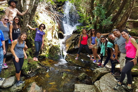 7-Day Super Value Tour Of Tasmania: Explore Tasmania's West And East Coasts - Accommodation Brisbane 2