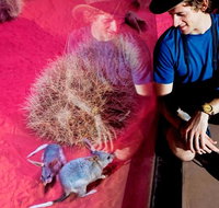 Alice Springs Desert Park General Entry Ticket - Accommodation Brisbane