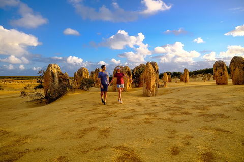 Half Day Pinnacles Sunset Tour - Accommodation Brisbane 1