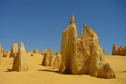 Half Day Pinnacles Sunset Tour - Accommodation Brisbane 2
