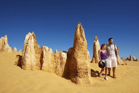 Half Day Pinnacles Sunset Tour - Accommodation Brisbane 4