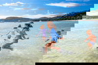 Book Viator Accommodation Vacations Accommodation Brisbane Accommodation Brisbane