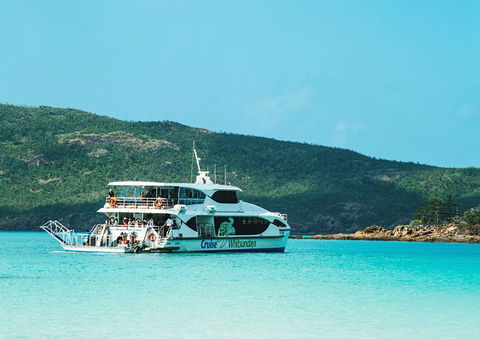Whitehaven Beach Half-Day Cruises - Accommodation Brisbane 5