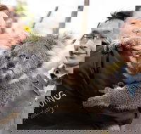 Bonorong Wildlife Park and Richmond Afternoon Tour from Hobart - Accommodation Brisbane