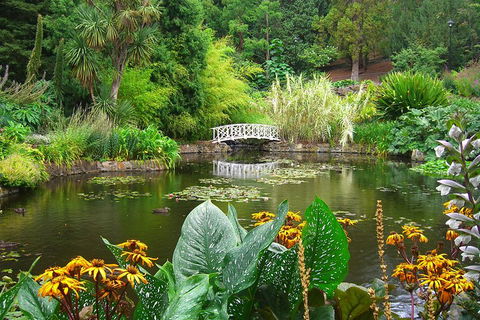 Hobart City Sightseeing Tour Including MONA Admission - Accommodation Brisbane 3