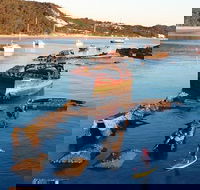 Adventure Moreton Island Wrecks Adventure Package - Accommodation Brisbane