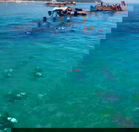 Adventure Moreton Island Scuba Dive Tour - Accommodation Brisbane