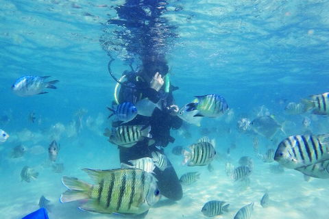 Adventure Moreton Island Scuba Dive Tour - Accommodation Brisbane 1