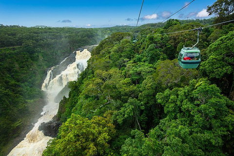 Cairns ATV Adventure Tour And Morning Skyrail - Accommodation Brisbane 3