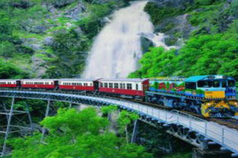 Cairns ATV Adventure Tour And Morning Train - Accommodation Brisbane 4