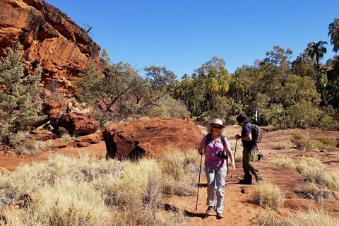 Palm Valley And Hermannsburg 1 Day 4WD Tour - Accommodation Brisbane 1