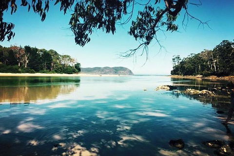 Full-Day Guided Bruny Island Tour From Hobart - Accommodation Brisbane 1