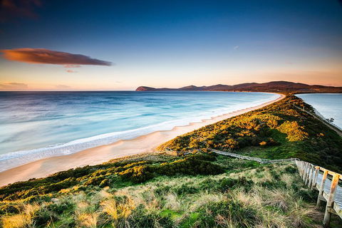 Full-Day Guided Bruny Island Tour From Hobart - Accommodation Brisbane 2