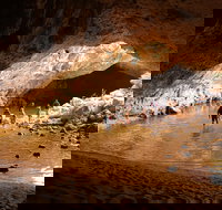 Windjana Explorer - Accommodation Brisbane