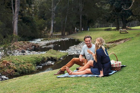 Mt Tamborine - Hinterland Wonders Self Guided - Accommodation Brisbane 0