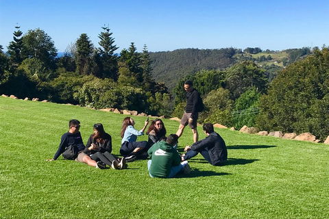 Mt Tamborine - Hinterland Wonders Self Guided - Accommodation Brisbane 1