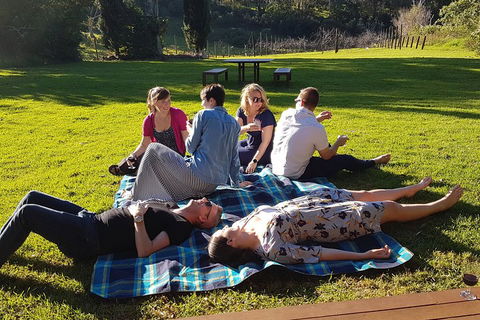 Mt Tamborine - Hinterland Wonders Self Guided - Accommodation Brisbane 2