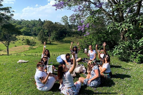 Mt Tamborine - Hinterland Wonders Self Guided - Accommodation Brisbane 5