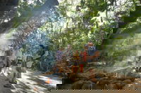 Mossman Gorge Adventure Day, Port Douglas