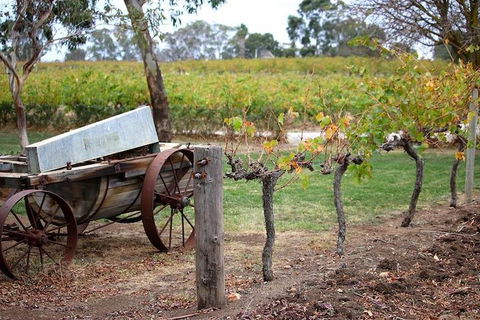 Maggie Beer Farm - Barossa Valley Regional Tour - Accommodation Brisbane 1
