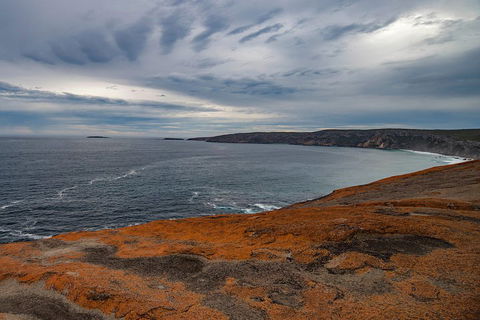 Kangaroo Island Luxury Small Group 'Flinders Chase Focus' Full Day Tour - Accommodation Brisbane 0