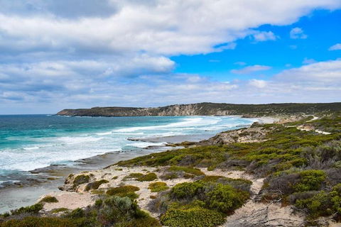Kangaroo Island Luxury Small Group 'East End Explorer' Full Day Tour - Accommodation Brisbane 0