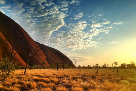Highlights Of Uluru Including Sunrise And Breakfast - Accommodation Brisbane 0