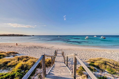 Discover Rottnest With Ferry & Bus Tour From Perth Or Fremantle - Accommodation Brisbane 4