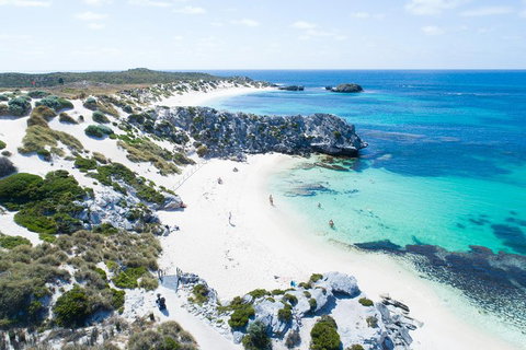 Discover Rottnest With Ferry & Bus Tour From Perth Or Fremantle - Accommodation Brisbane 5