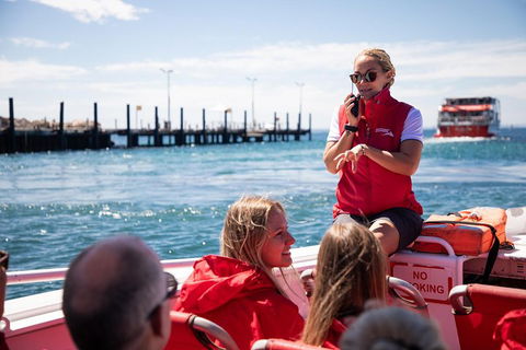 Adventure Rottnest Tour With Ferry & Adventure Cruise From Perth Or Fremantle - Accommodation Brisbane 4