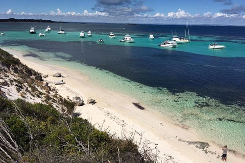 Experience Rottnest With Ferry & Bike Hire From Perth Or Fremantle - Accommodation Brisbane 0