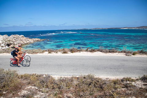 Experience Rottnest With Ferry & Bike Hire From Perth Or Fremantle - Accommodation Brisbane 2