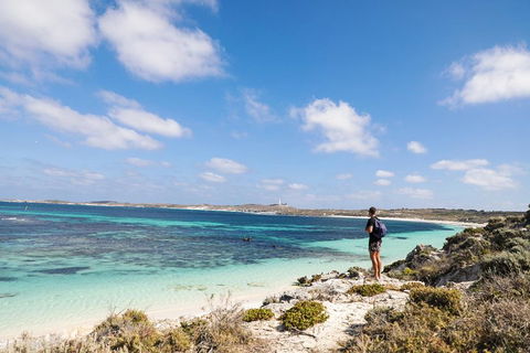 Experience Rottnest With Ferry & Bike Hire From Perth Or Fremantle - Accommodation Brisbane 3